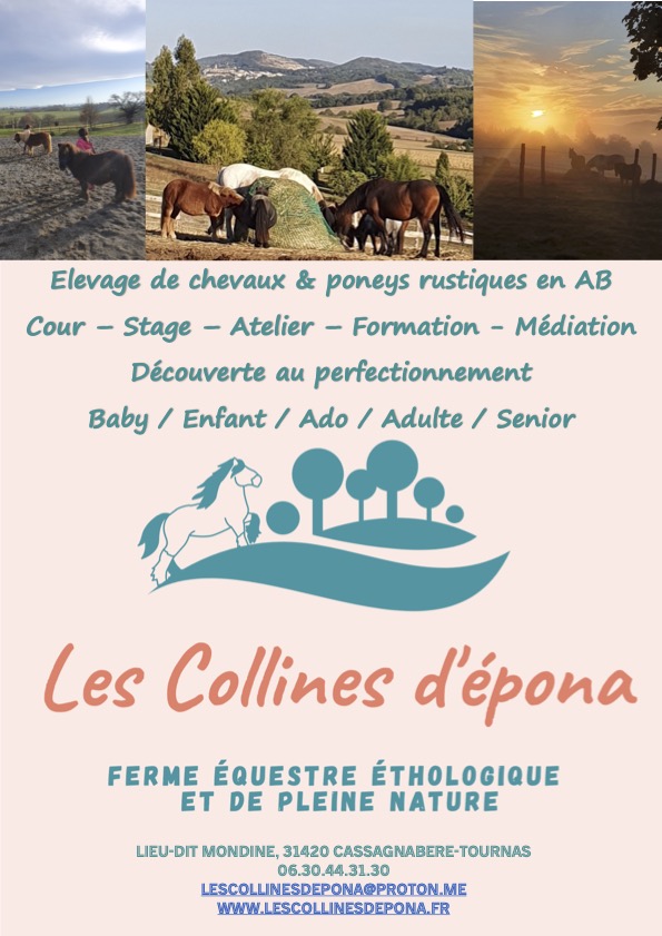 les-collines-d-epona_photo